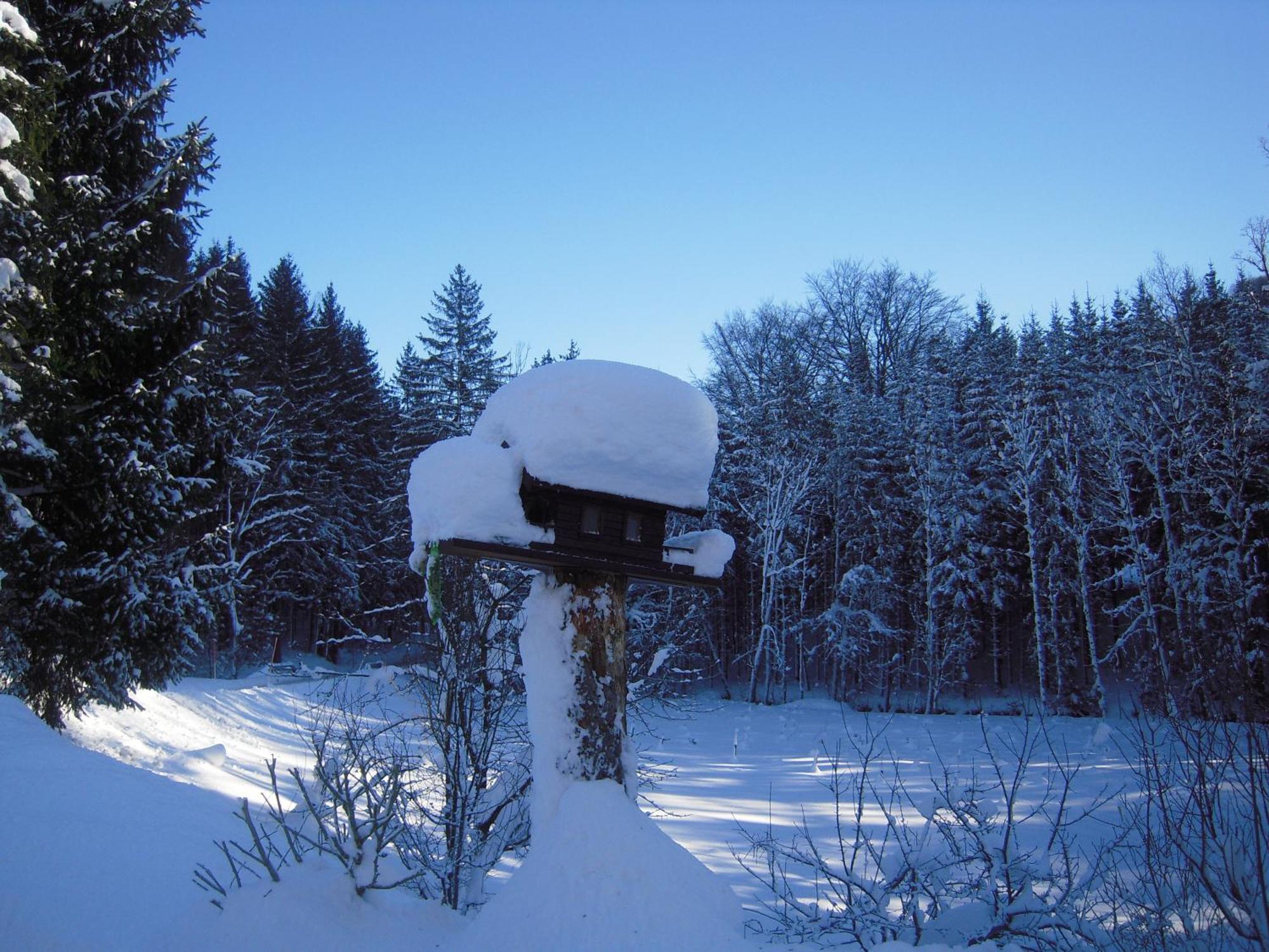 Pension Nocksteinblick Guggenthal ภายนอก รูปภาพ