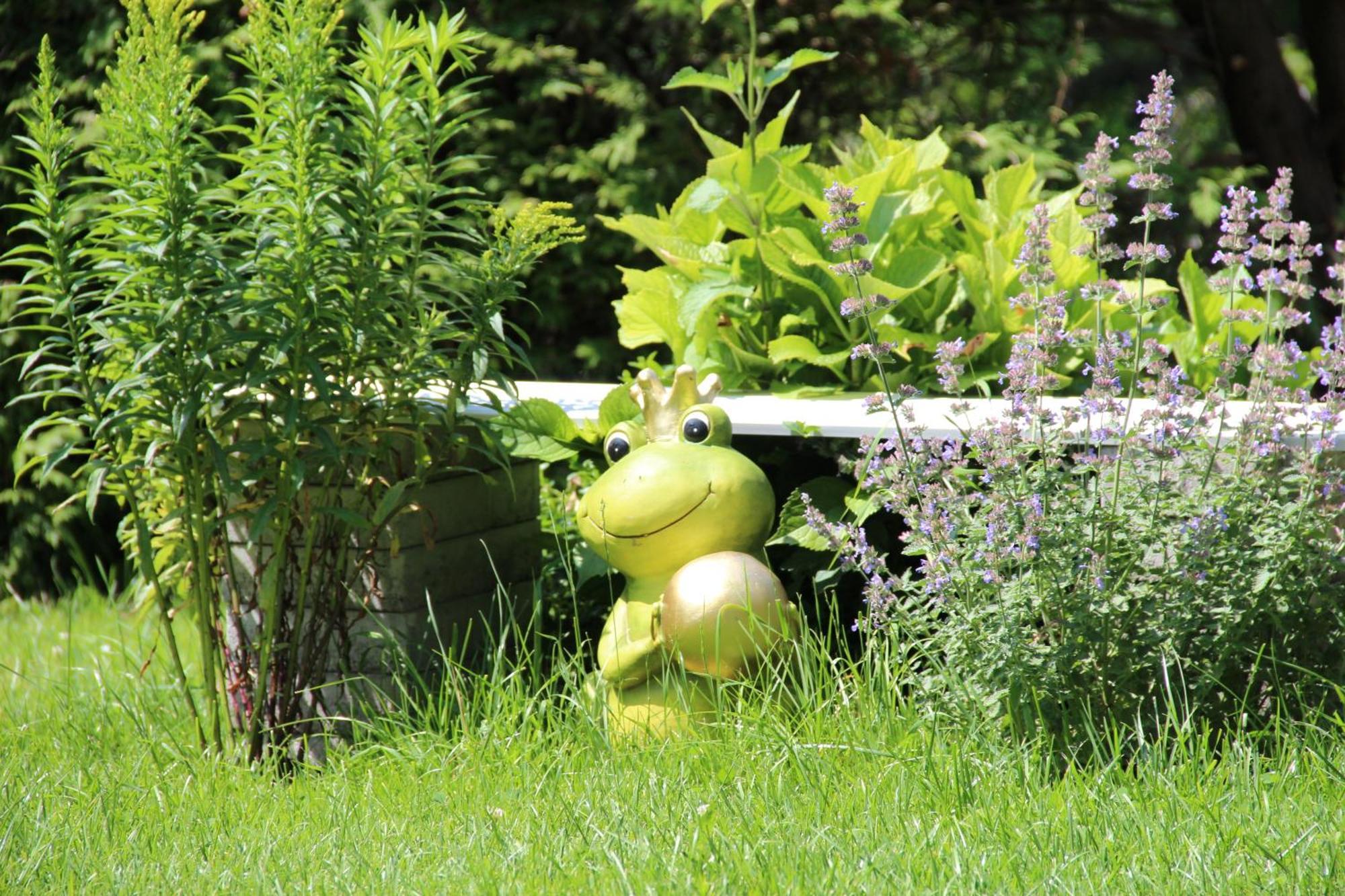 Pension Nocksteinblick Guggenthal ภายนอก รูปภาพ