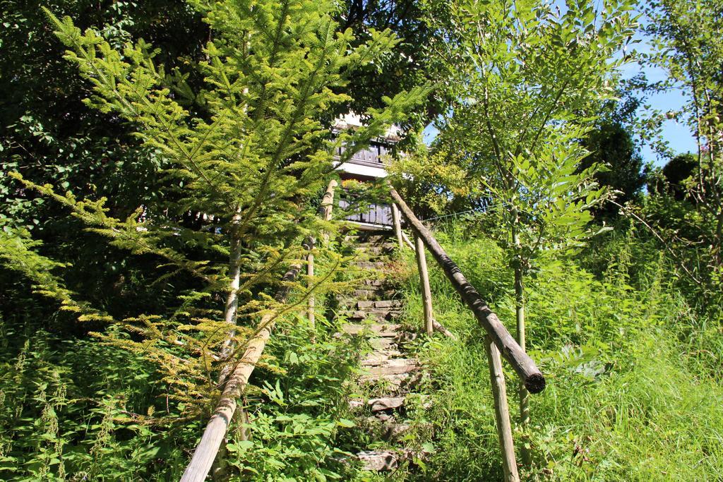 Pension Nocksteinblick Guggenthal ภายนอก รูปภาพ