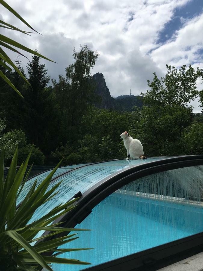 Pension Nocksteinblick Guggenthal ภายนอก รูปภาพ